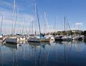IMG_3791 copy